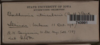 Image Associated With the Occurence